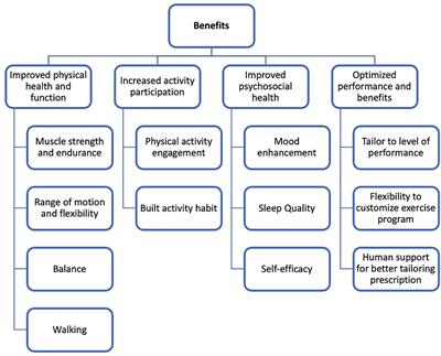 How do people with physical/mobility disabilities benefit from a telehealth exercise program? A qualitative analysis